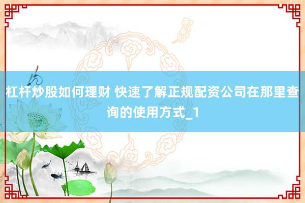 杠杆炒股如何理财 快速了解正规配资公司在那里查询的使用方式_1
